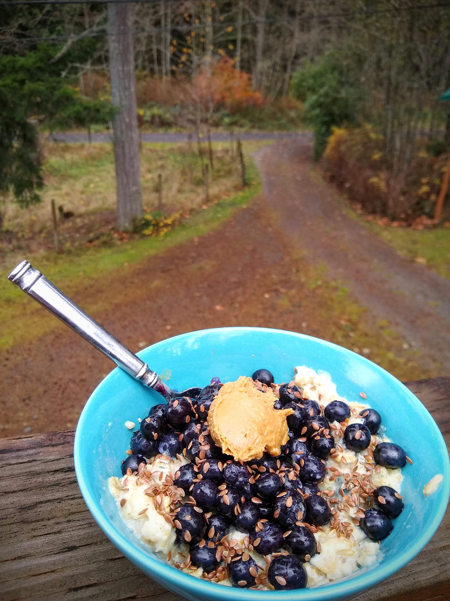 Anne's Protein Oatmeal Recipe – Enduro Bites