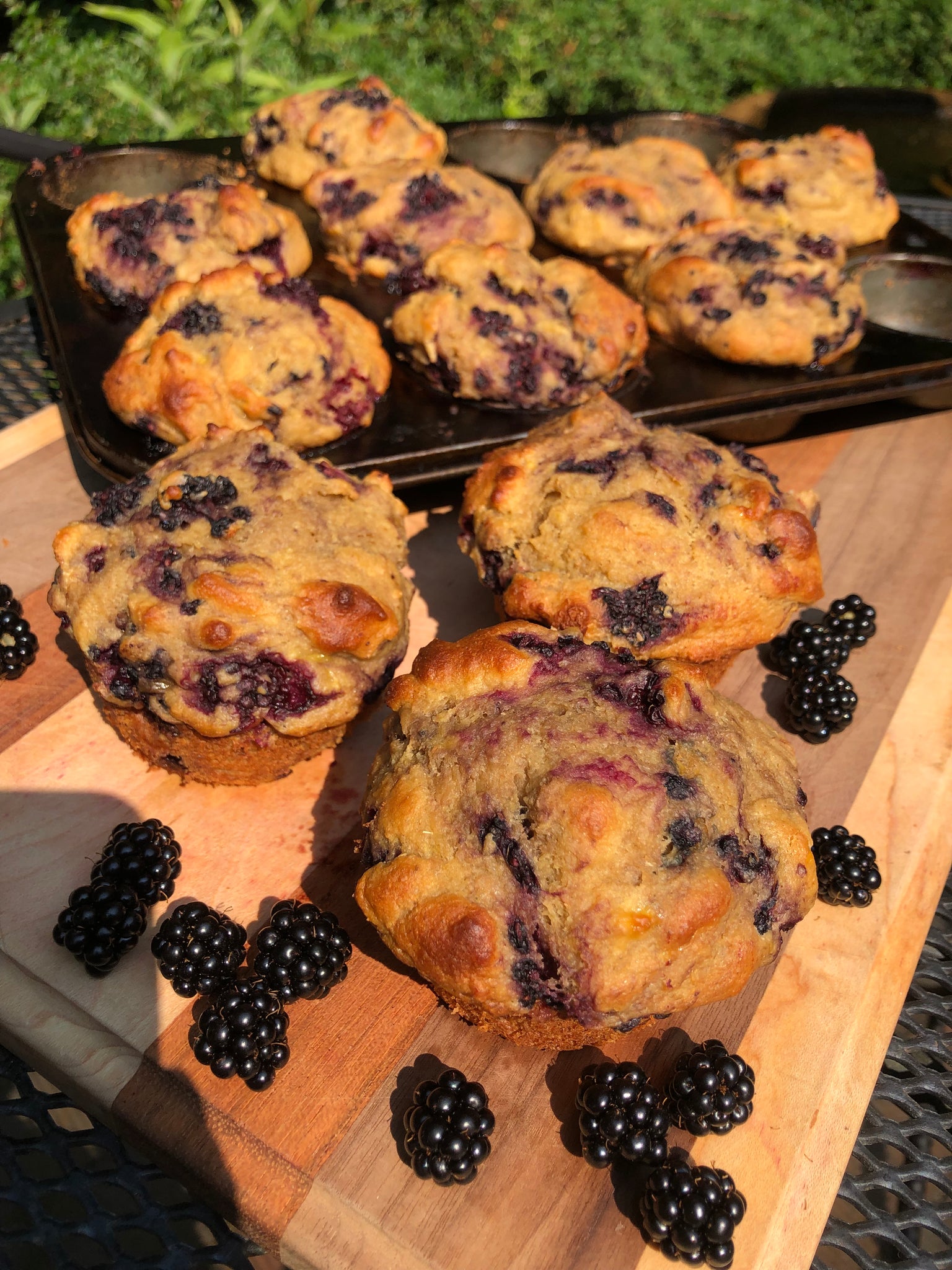 Northwest Blackberry Muffins